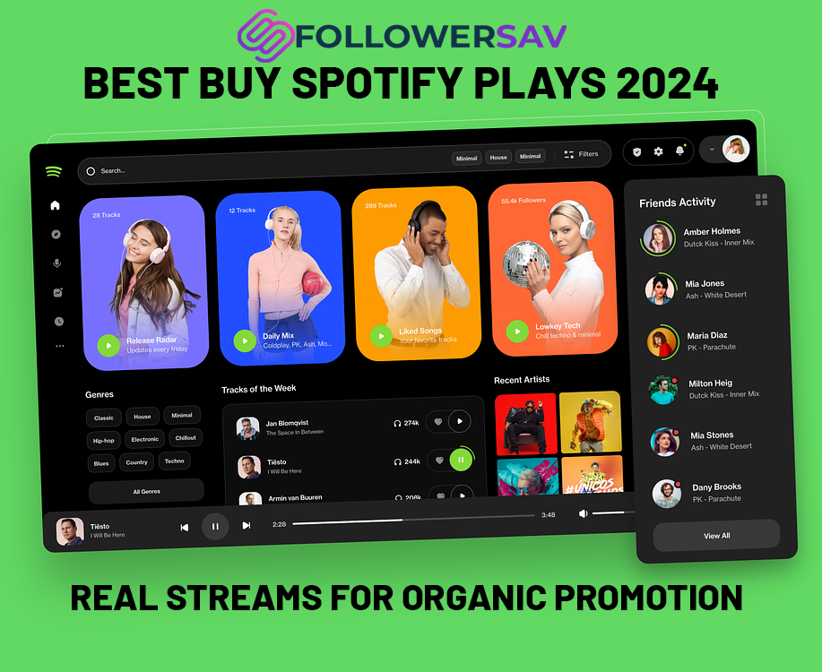 Best Buy Spotify Plays & Real Streams for Organic Promotion 2024