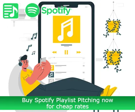 Buy Spotify Playlist Pitching