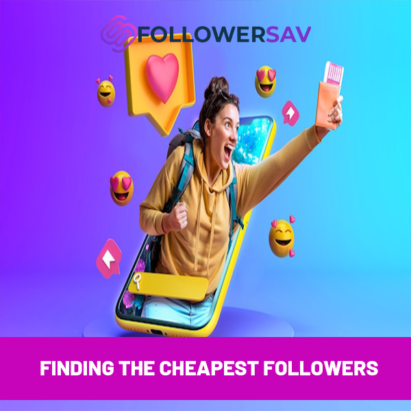 Finding the Cheapest Followers